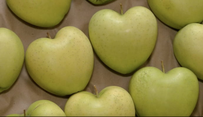 Яблука