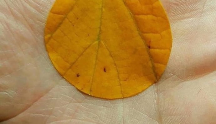 Природа и человек