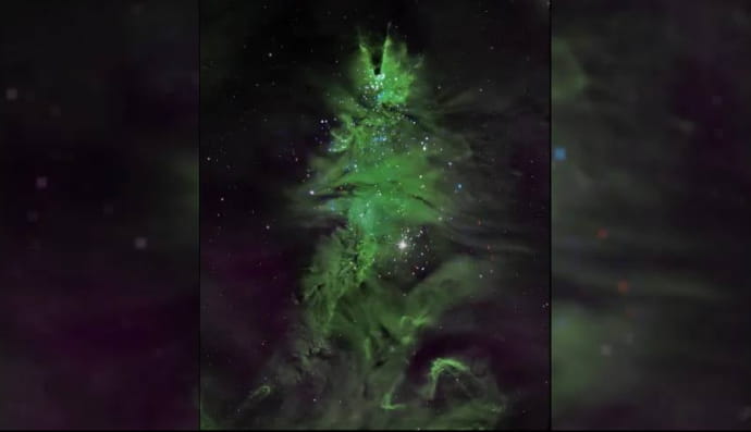 Космическая "новогодняя елка" от NASA