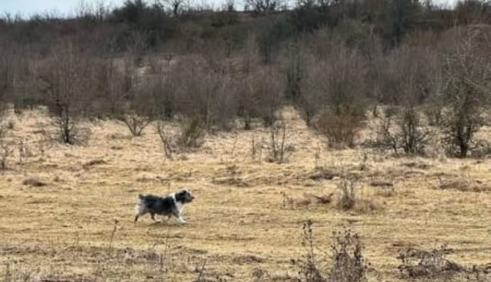 Порятунок дитини