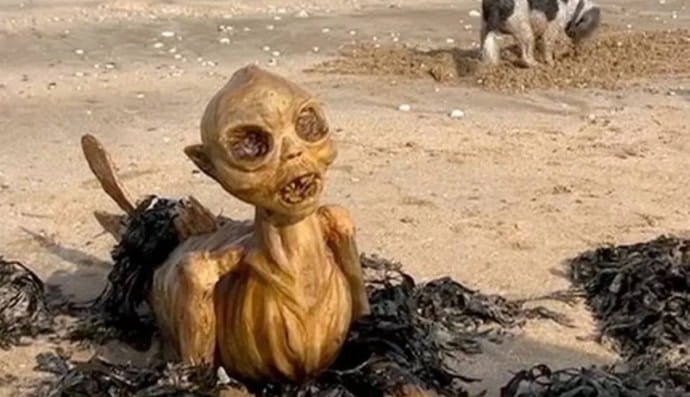 На берег Англии выбросило жуткое существо 