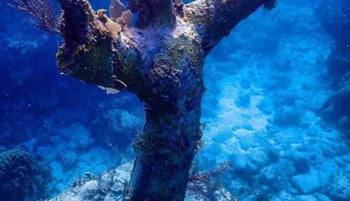 Христос из Бездны, Флорида