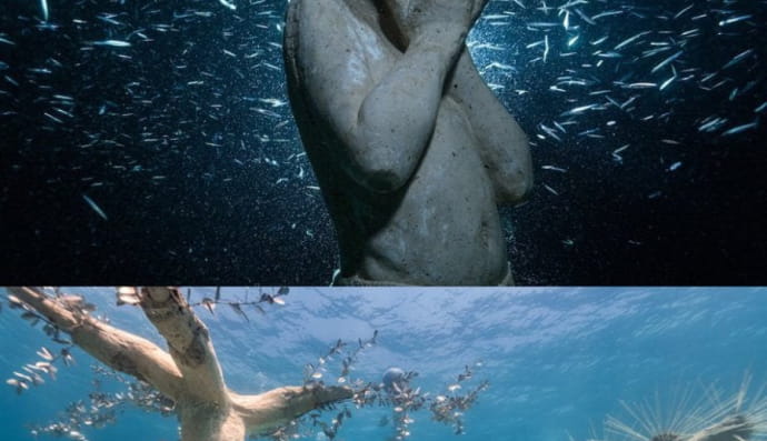 В волшебных глубинах затонувшего музея Кипра из океана выныривают статуи детей, играющих в прятки. 93 реалистичные фигуры Джейсона де Кайреса Тейлора являются частью Музея подводной скульптуры Айя-Напы, где исследуется связь между людьми и природой.