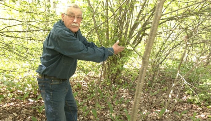 История о хуторе