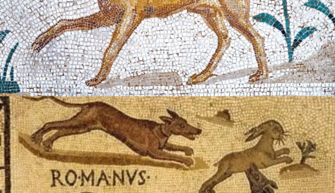 «Я плачу, унося тебя к месту твоему последнему упокоению, так же, как радовался, когда 15 лет назад собственными руками приносил тебя домой»