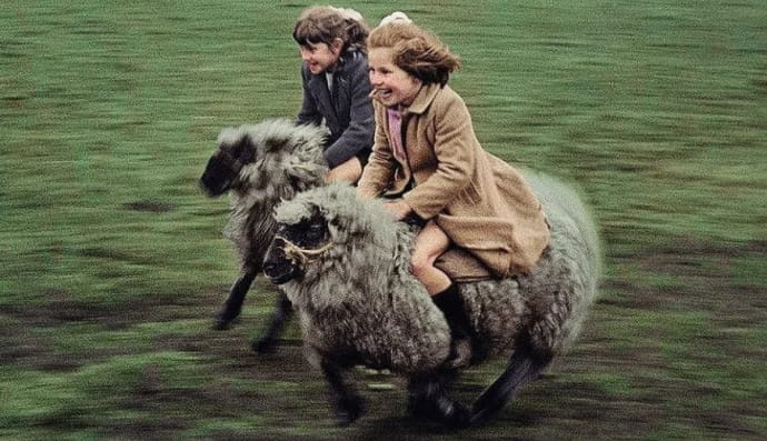 Дві дівчини ганяють овець, 1969