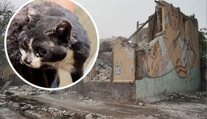 Порятунок Марусі