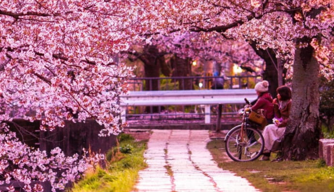 Алея філософів, Кіото
