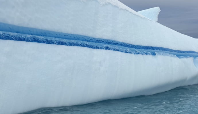 Льодовий сендвіч 