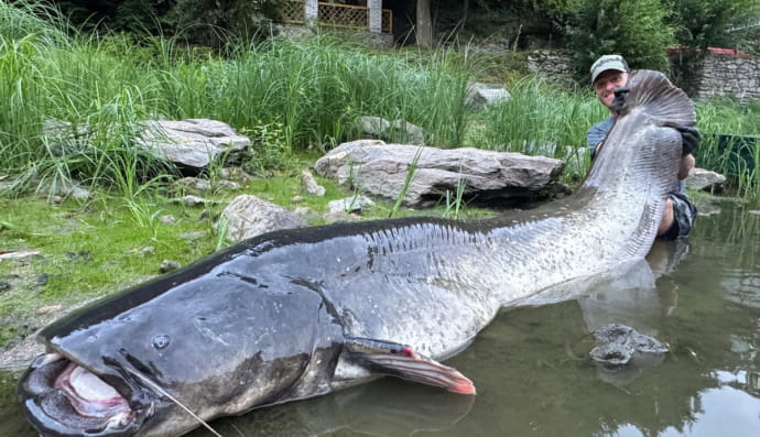 Вагнер із сомом