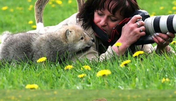 Дикая природа