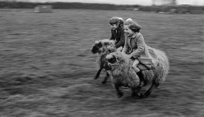 Дві дівчинки скачуть на повній швидкості на вівцях у Корнуоллі, 1969 рік