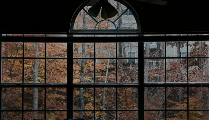 Осень, виднеющаяся в окнах