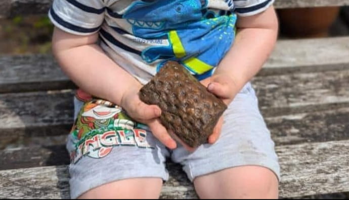 Находка Флетчера Лоу 