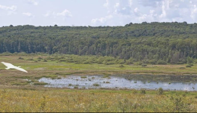 Веселецьке озеро