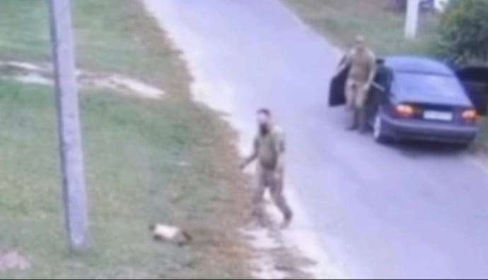 Інцидент з котом