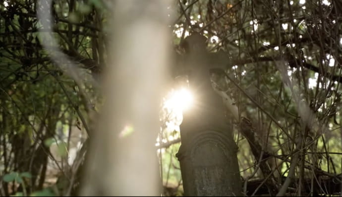 Кадр із відео