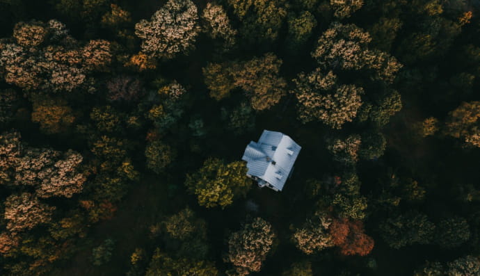 Будинок у лісі