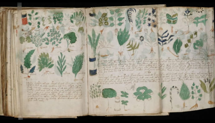 Манускрипт Войнича