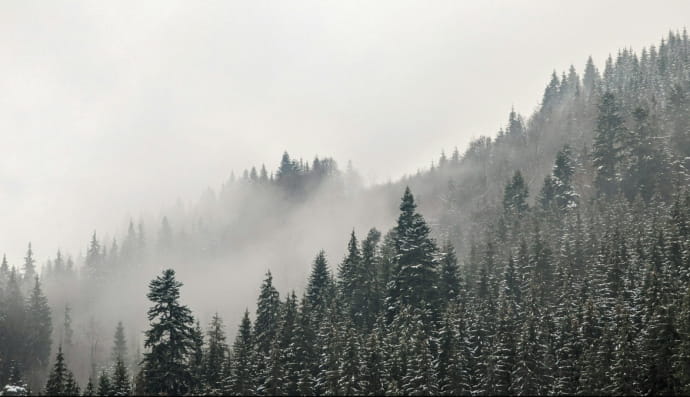 Буковель, Івано-Франківська область