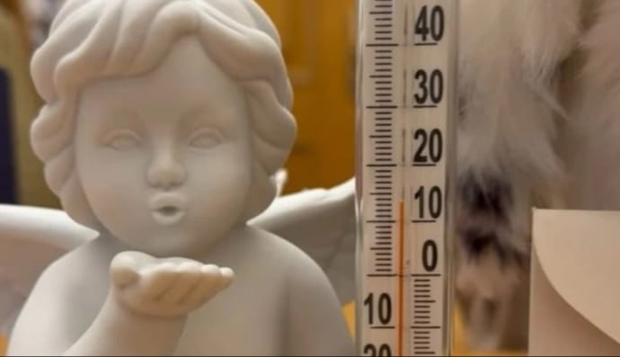 Фото з кабінетів ОП