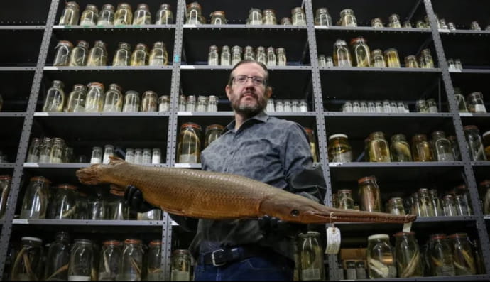 Фото з музея 