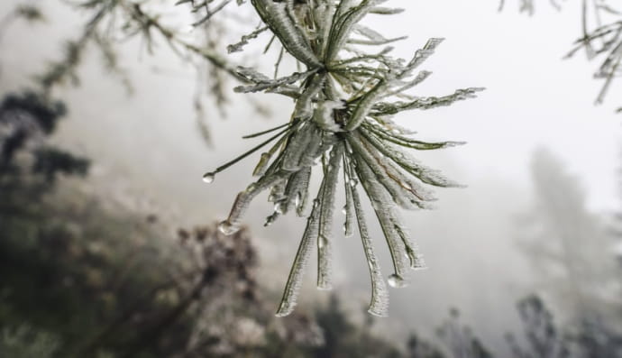 Потепління