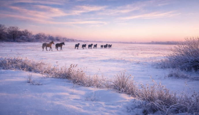 Фото з фронту