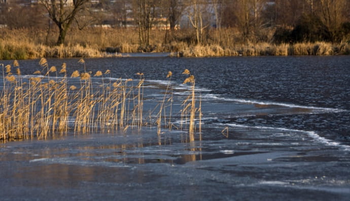 Повінь, підтоплення 
