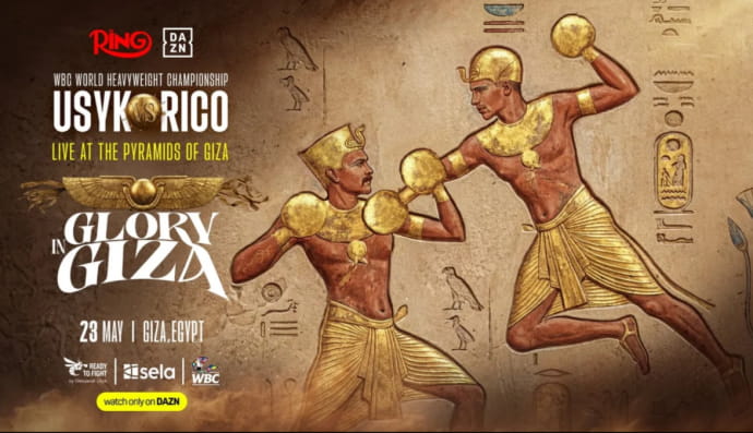 Постер боя Усика и Верхувена