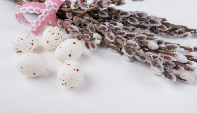 Верба. Вербна неділя