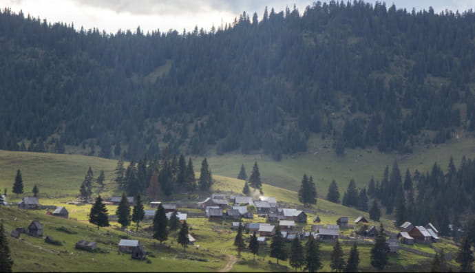 Карпати, гори, природа, село