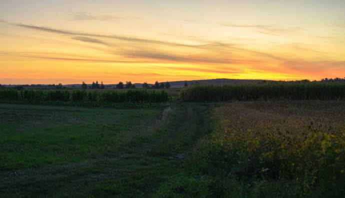 Село