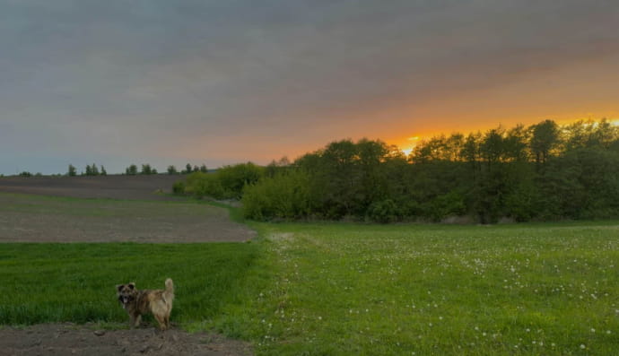 Село