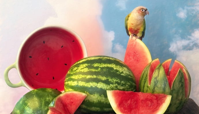 iPhone Photography Awards