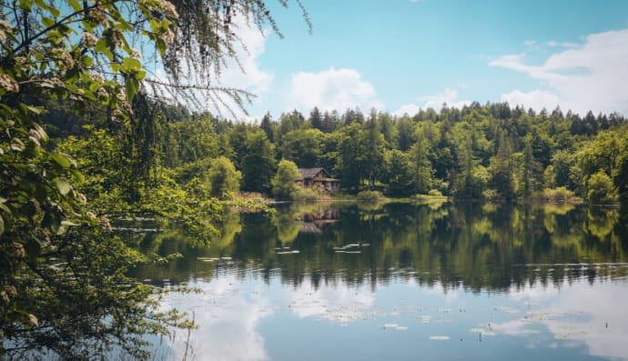 Село, озеро, рибалка