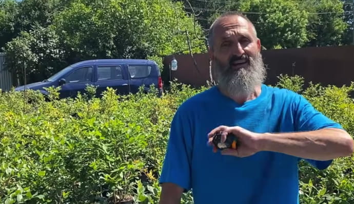 З Києва до Підлісного