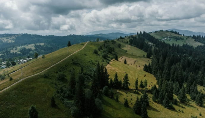Карпатські гори