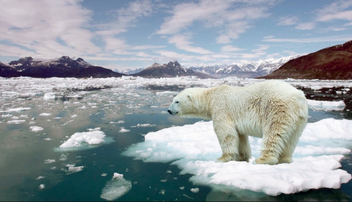  глобальне потепління