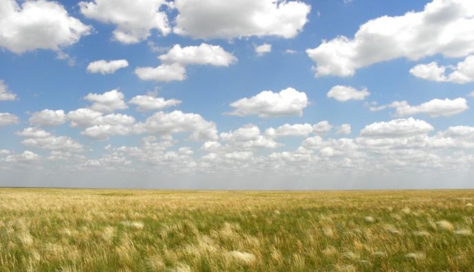 Асканія-Нова