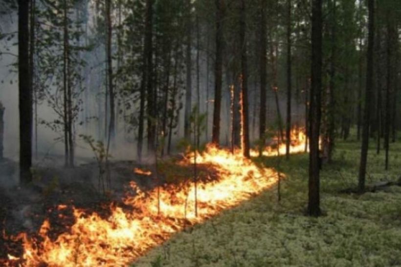 Пожежна небезпека