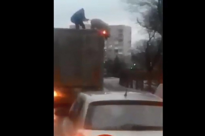 Протистояння зі свинотою
