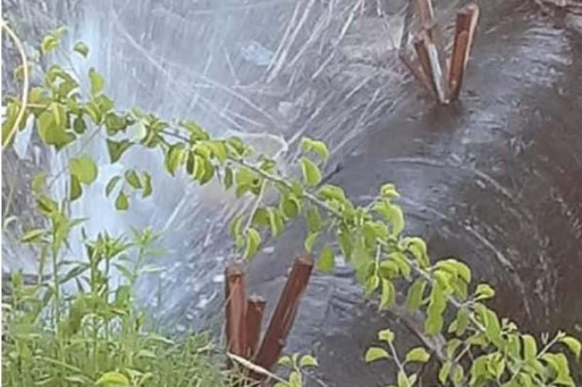 Технології майбутнього