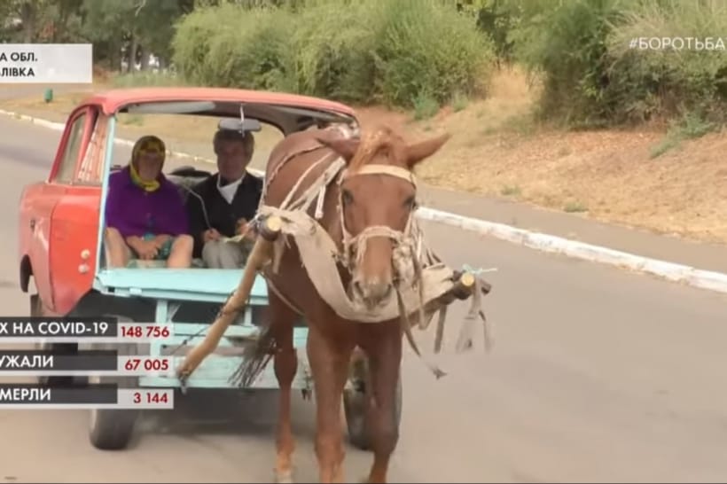 Лошадь в Москвиче