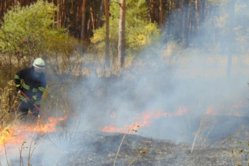 "Президент не едет на пожары в Луганскую область, потому что занят выборами в Ривненской", - Бобровская - Цензор.НЕТ 1251