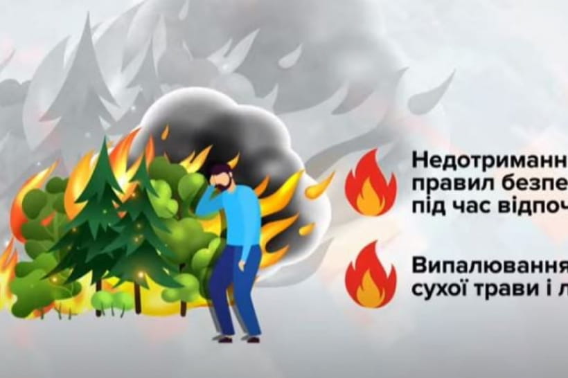 Причини пожеж сухостою в Україні
