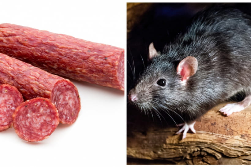 Колбаса и крыса