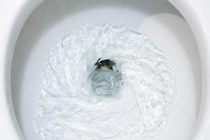 Смывная вода в унитазе 