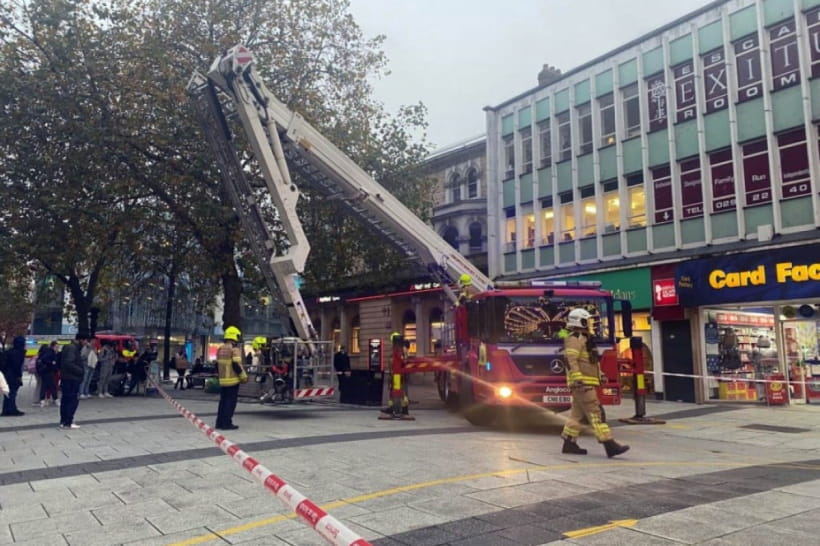 Спасение голубя