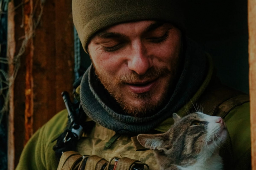 Котики і "Ведмеді"